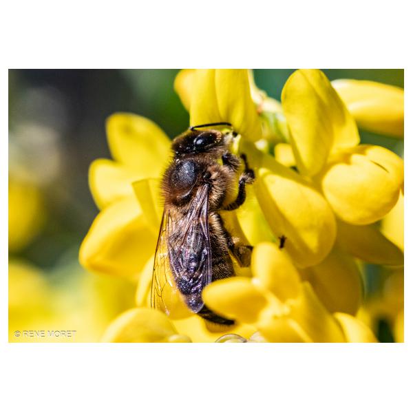 PHOTO84, CLUB, 84 , LUBERON